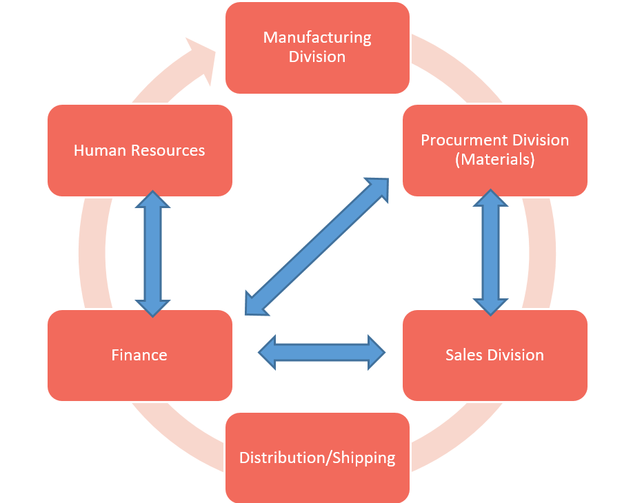 what is sap software : business process