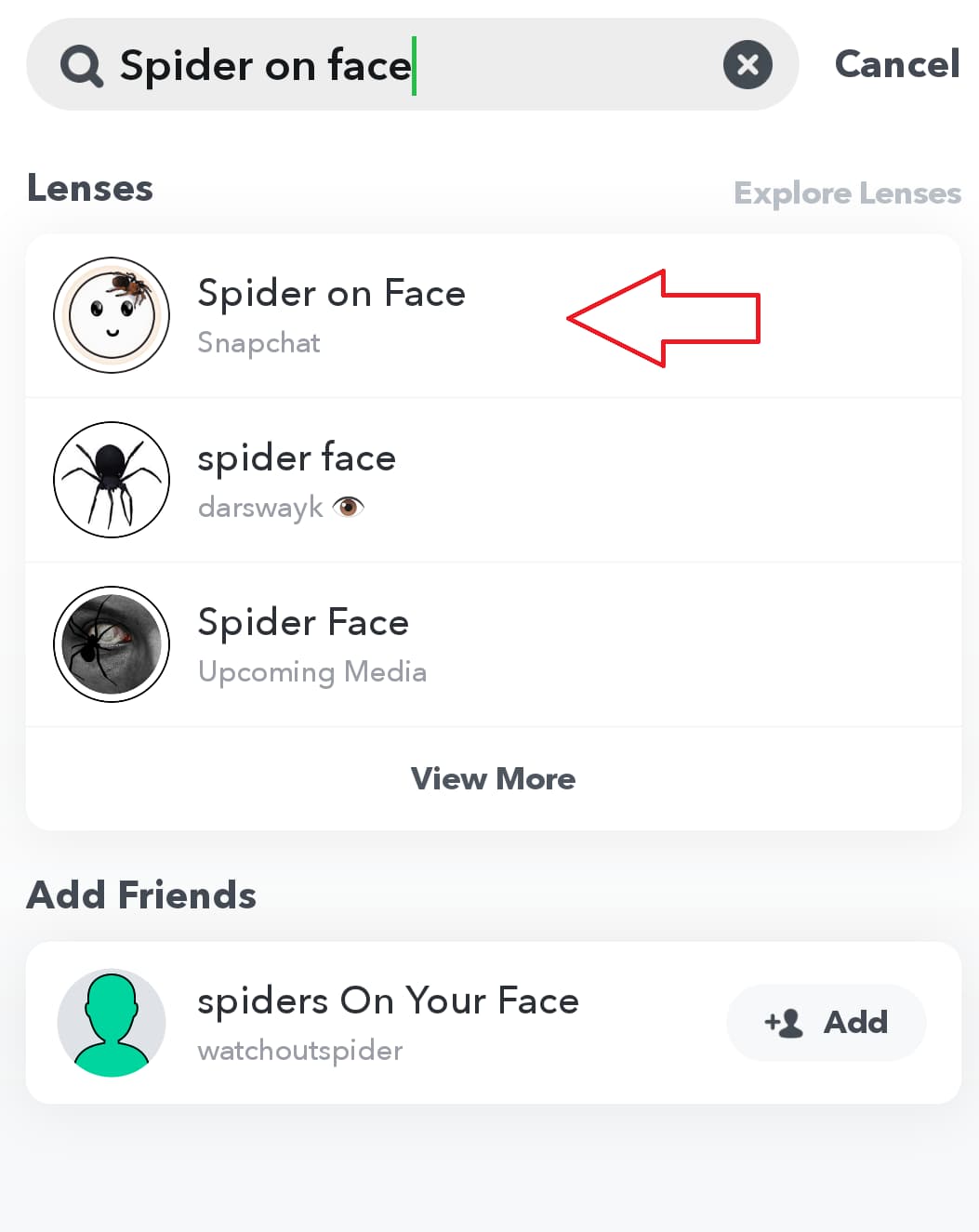 spider on face snapchat Spider Filter App