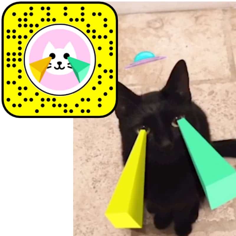 Snapchat Cat Beam Filter
