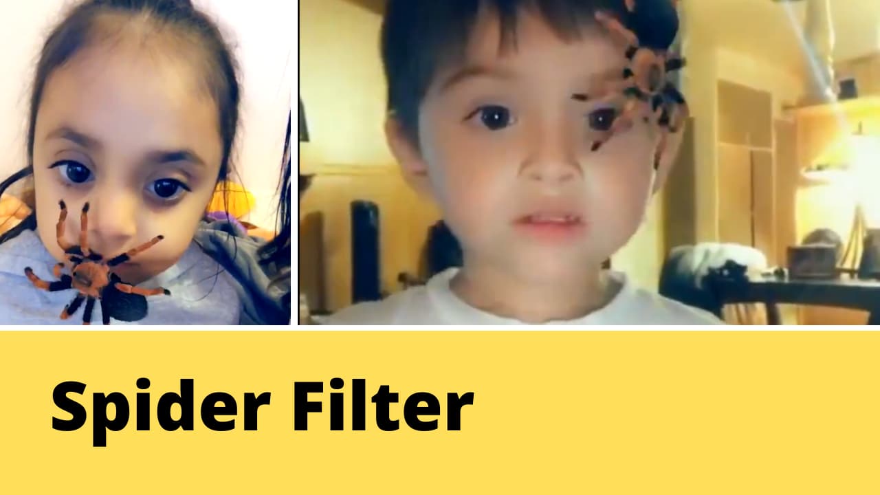 Spider Filter app for snapchat