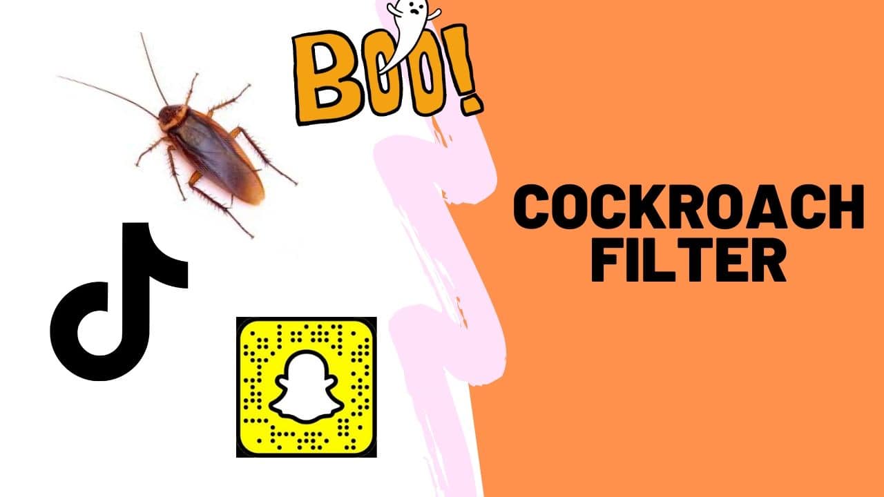 Cockroach filter for Snapchat