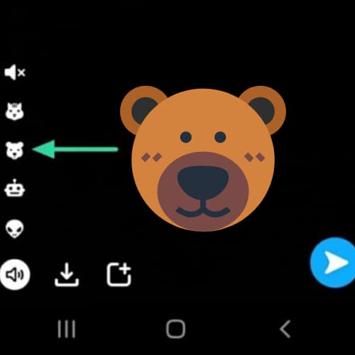 bear voice icon