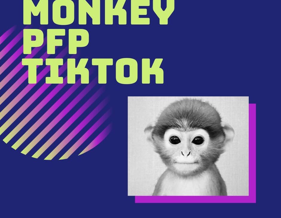 Monkey PFP TikTok