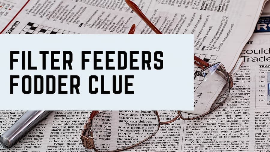 Filter feeders fodder nyt crossword clue